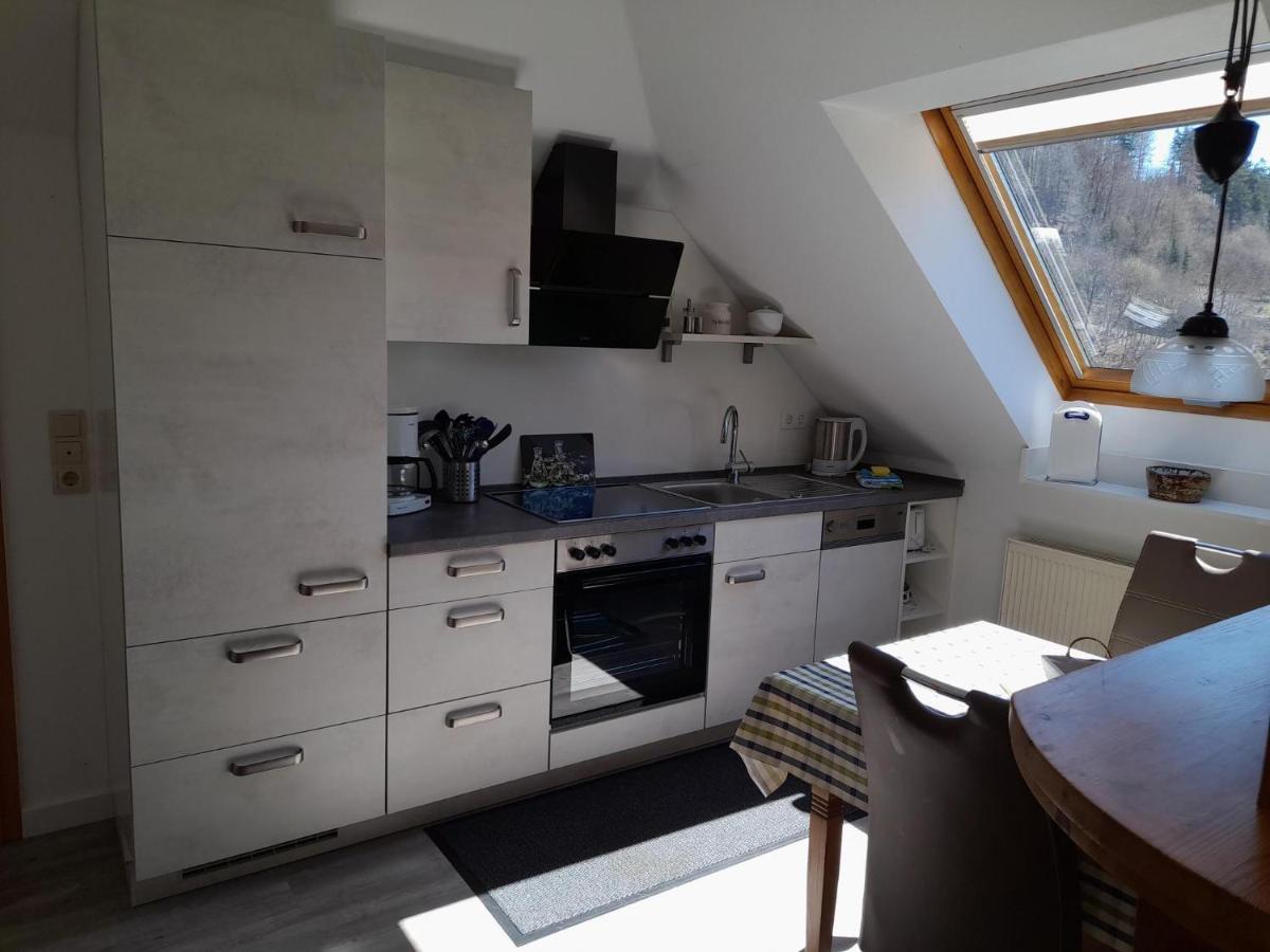 Apartmán Haus Elsholz Willingen Willingen  Exteriér fotografie