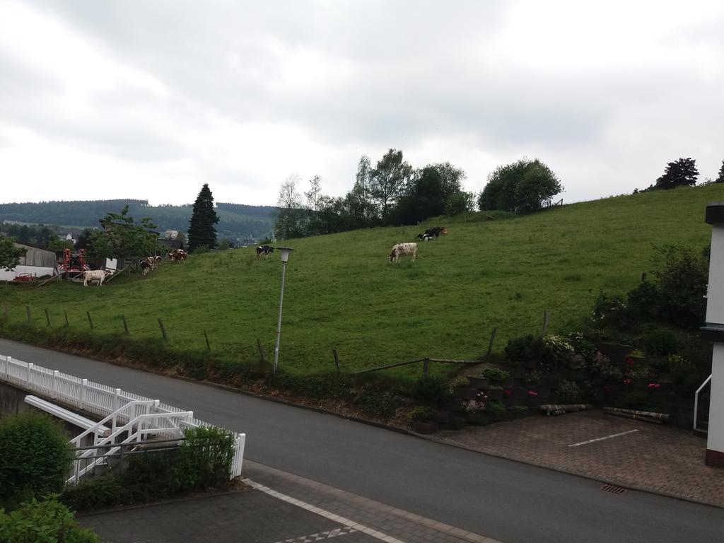 Apartmán Haus Elsholz Willingen Willingen  Exteriér fotografie