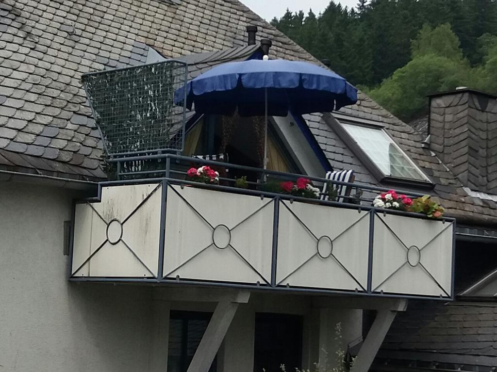 Apartmán Haus Elsholz Willingen Willingen  Exteriér fotografie