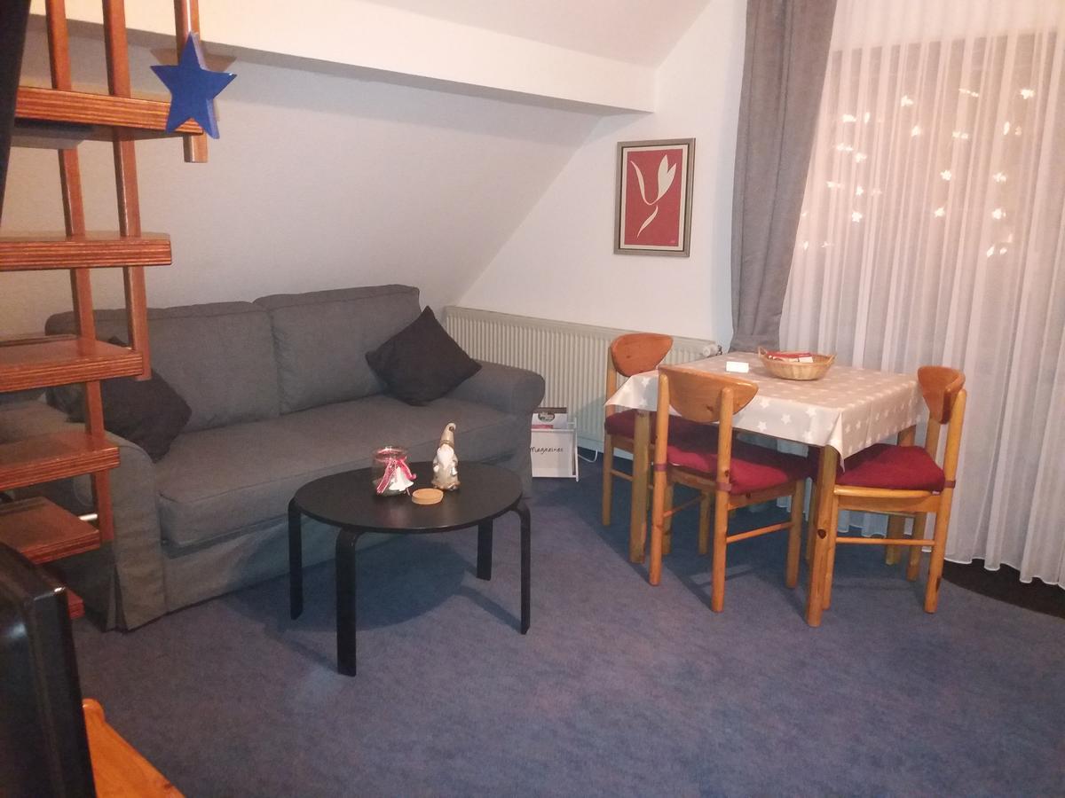 Apartmán Haus Elsholz Willingen Willingen  Exteriér fotografie